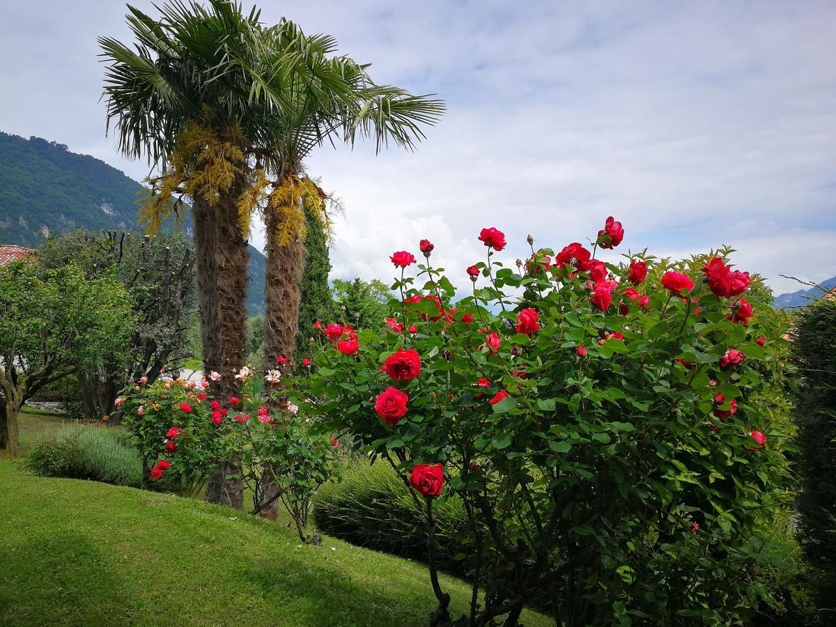 Bellagio Lake View Villa Oliveto Lario Exterior photo