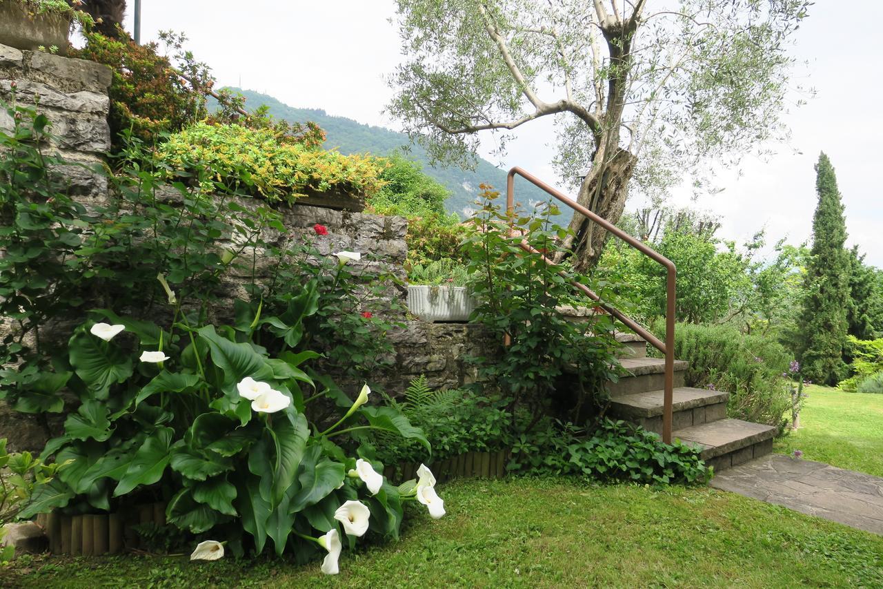 Bellagio Lake View Villa Oliveto Lario Exterior photo