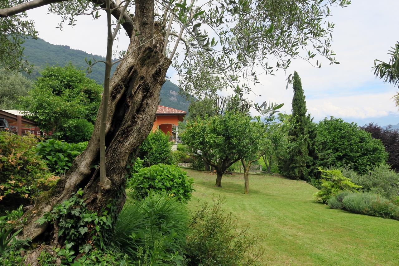 Bellagio Lake View Villa Oliveto Lario Exterior photo