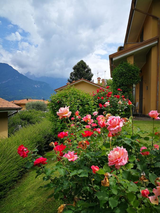Bellagio Lake View Villa Oliveto Lario Exterior photo