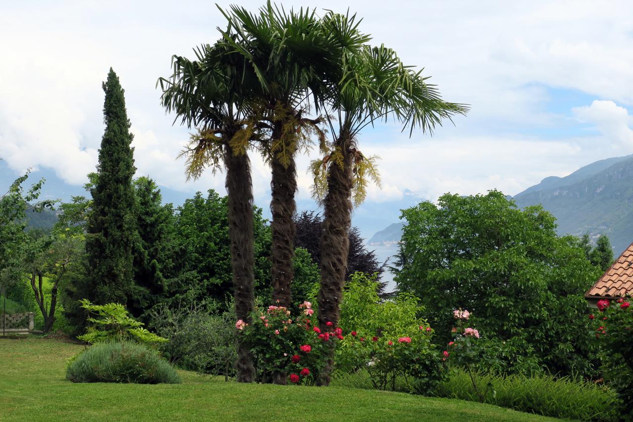 Bellagio Lake View Villa Oliveto Lario Exterior photo